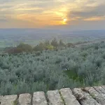 La Casetta Di Maria * Santa Maria Degli Angeli (Assisi)