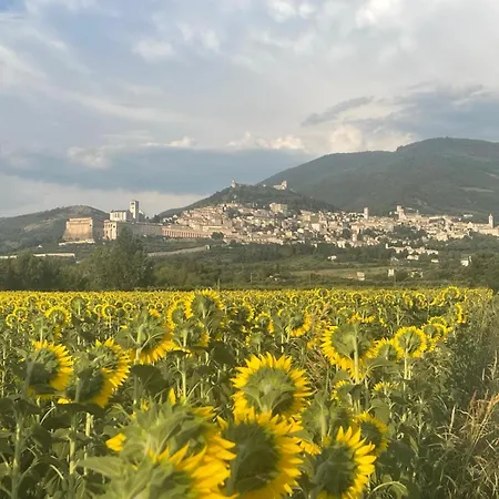 La Casetta Di Maria 公寓