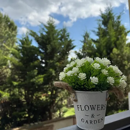 La Casetta Di Maria *