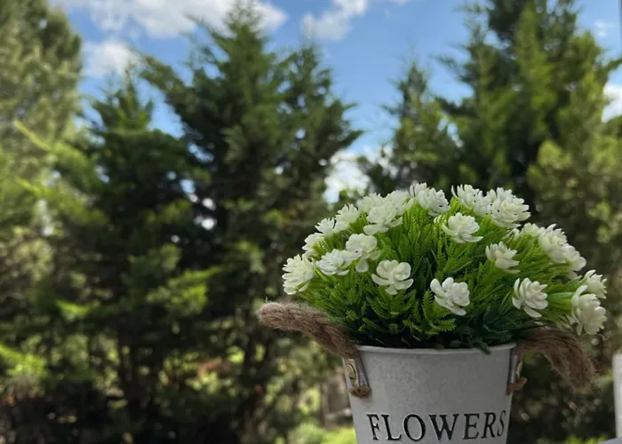 La Casetta Di Maria *